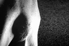 erotic-pornart-nicole-8