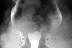 erotic-pornart-mixed-16