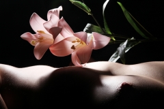 erotic-pornart-mixed-33