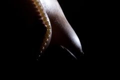 erotic-pornart-mixed-40