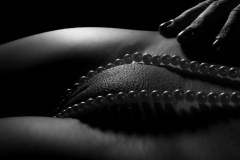 erotic-pornart-mixed-58